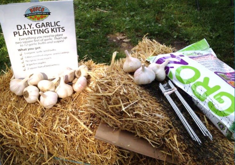 Garlic Planting Kit The Backyard Urban Farm Company