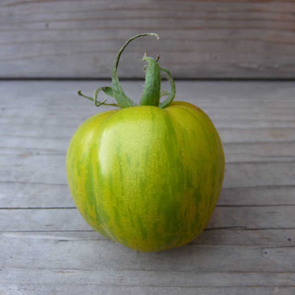 green zebra tomato
