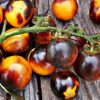 Tomato (Cherry), Bosque Bumble Bee
