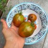 Tomato (Slicing), Japanese Trifele Black