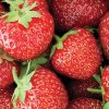 Fresh ripe strawberry closeup wallpaper