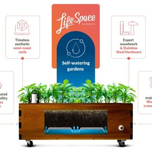 LifeSpace Self-Watering Planters