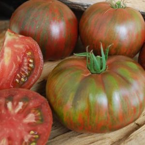 Tomato (Slicing), Pink Berkeley Tie Die